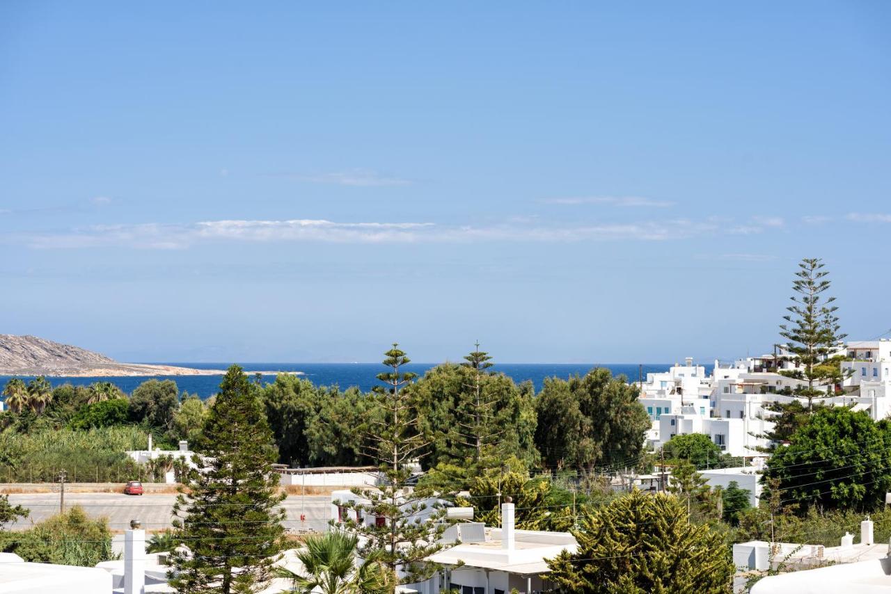 Hara’s Villa in Naousa , Paros Esterno foto