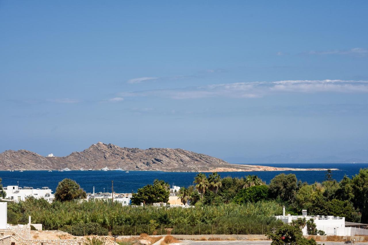 Hara’s Villa in Naousa , Paros Esterno foto